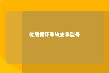 优质循环导轨支承型号 