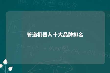 管道机器人十大品牌排名 