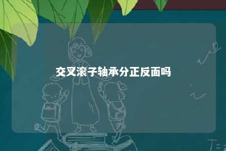 交叉滚子轴承分正反面吗 